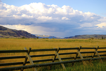 brown wooden fence under cloudy sky thumbnail