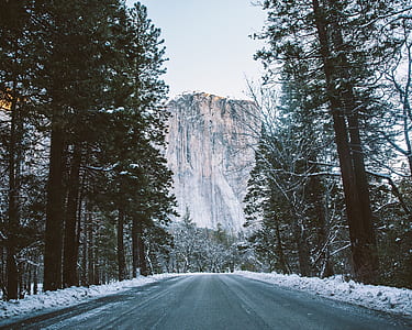 concrete road in the middle of tall trees facing tall mountain thumbnail
