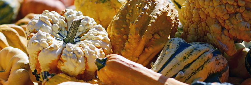 assorted vegetables thumbnail