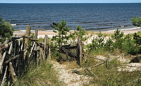 landscape photography of beach thumbnail