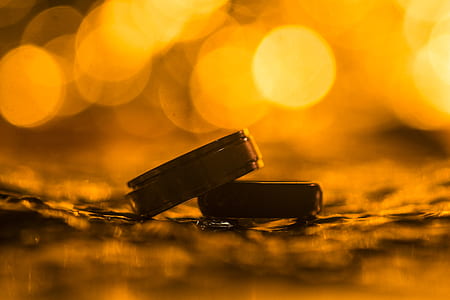 Pair of Silver Wedding Rings in Shallow Focus Photography thumbnail