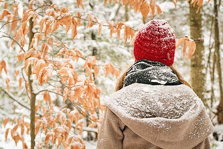 cold, snow, landscape, weather thumbnail