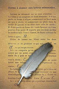 gray quill illustration thumbnail