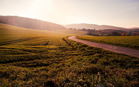 gray asphalt road thumbnail