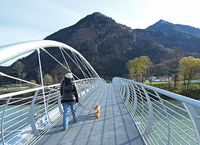 person walking on bridge with dog at daytime thumbnail