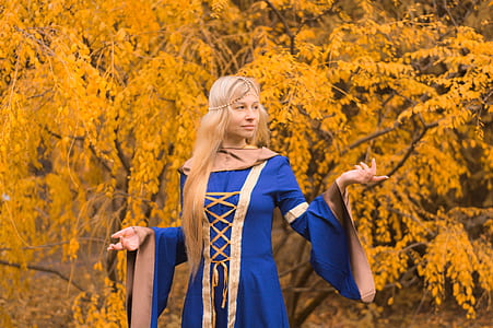 woman wearing gold and blue fairy dress in front of brown leafed tree thumbnail
