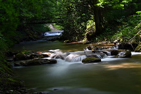 body of water under trees at daytime thumbnail