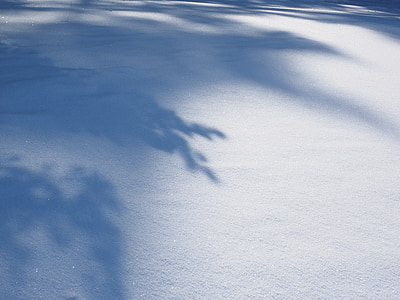 snow with tree shadow thumbnail