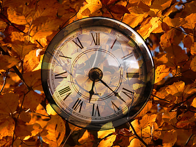 closeup photo of round black wooden-framed analog clock surrounded by orange leaf photography thumbnail