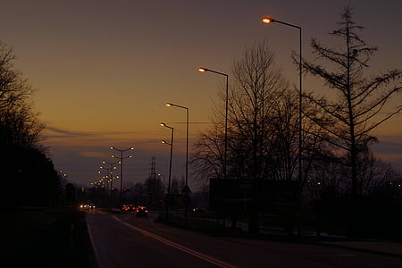 black concrete road between trees at nighttime thumbnail
