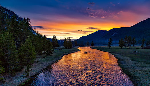 River Surrounded by Green Trees thumbnail
