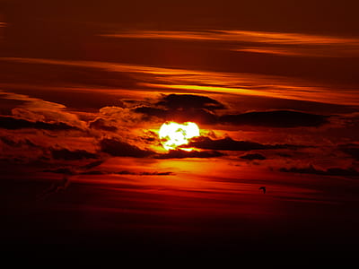 photo of sky during golden hour thumbnail