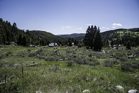 Green Grassy landscape under blue skies in Elkhorn thumbnail