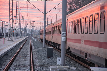 train near trees during sunset thumbnail
