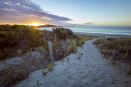 gray sand between tall grass near shore taken during sunset thumbnail