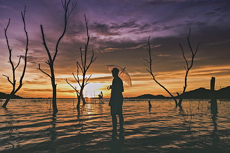 light, dawn, landscape, nature thumbnail