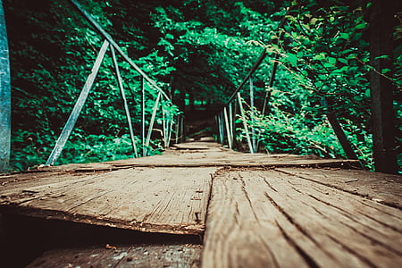 brown bridge surrounded by trees thumbnail