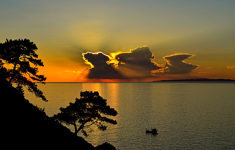 low light photography of body of water surrounded with silhouette of trees thumbnail