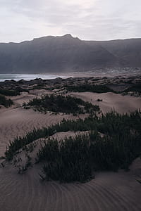 Green Grass Near Body of Water and Mountain Under White Sky thumbnail