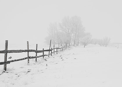brown fence beside trees cover by snow thumbnail