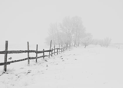 brown wooden fence near trees covered in snow thumbnail