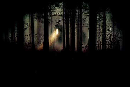house on forest during night time thumbnail