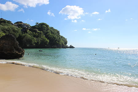 teal sea near trees under blue and white sky thumbnail