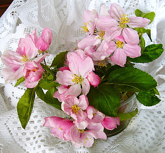 pink flower in pot thumbnail