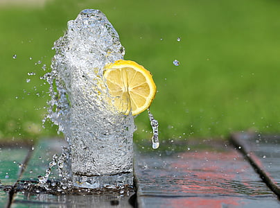 slice of lemon and water photo thumbnail