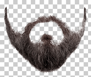 Movember World Beard and Moustache Championships , Beard , man's black beard PNG clipart