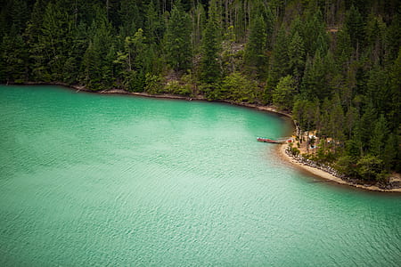 aerial view of body island with tall trees beside body of water thumbnail