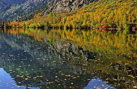 View of lake with reflection of autumn leaves and mountains thumbnail