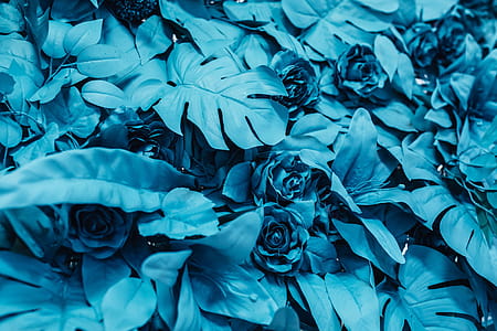 Painted Fake Flowers thumbnail