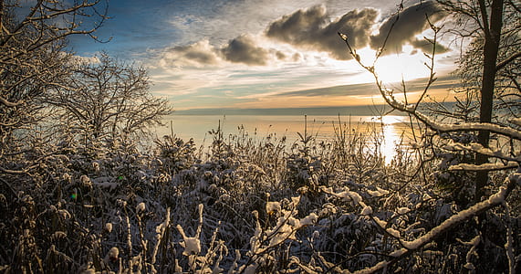 landscape photography of sky, body of water, and grass digital wallpaper thumbnail