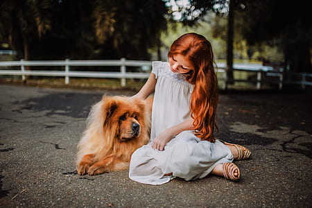 person, woman, girl, animal thumbnail