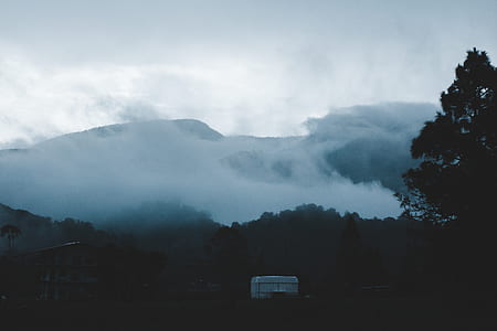 mountain covered with mist thumbnail