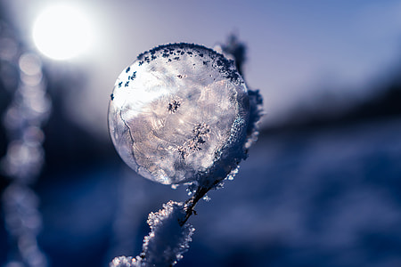 close-up lens photography of frozen dew during dawn thumbnail