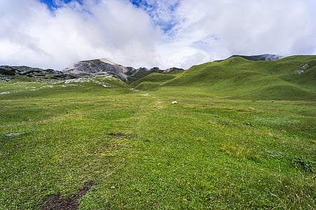 green grass field under cloudy sky thumbnail