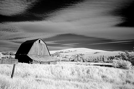 grayscaled photography of barn thumbnail
