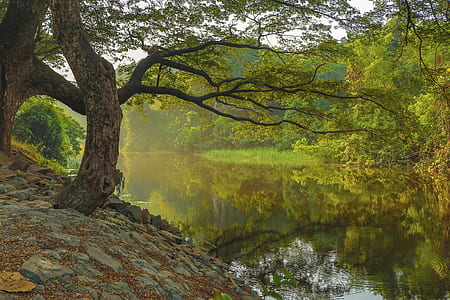 photo of lake thumbnail