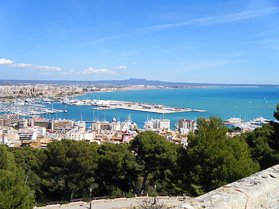 aerial view of trees near buildings beside blue ocean water thumbnail