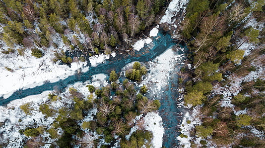 aerial photography of river between green leafed trees thumbnail