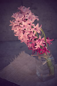 bouquet of pink flowers in glass jar thumbnail