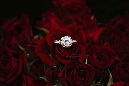 silver-colored solitaire ring on bouquet of rose thumbnail
