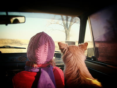 woman sitting on passenger seat with dog thumbnail