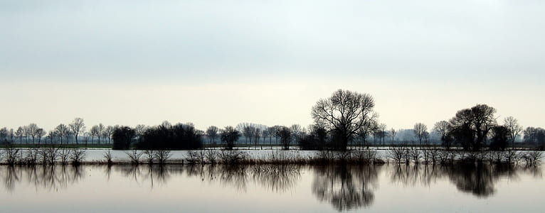landscape photography of body of water and black trees thumbnail