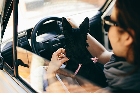 Woman in the car thumbnail