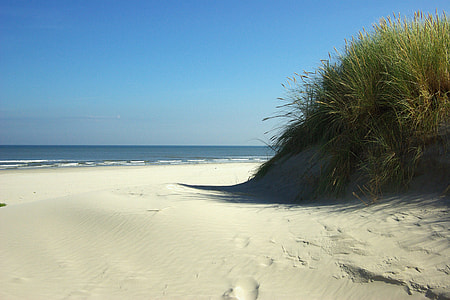 green grass near sand thumbnail