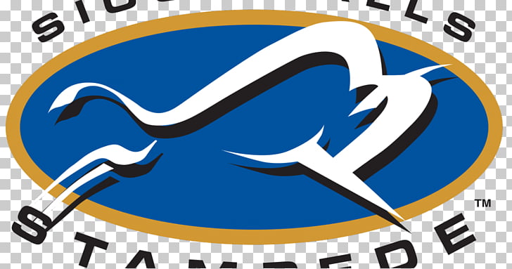 chicago steel united states hockey league dubuque fighting saints