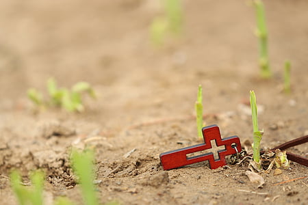 orange wooden cross pendant on brown sands thumbnail